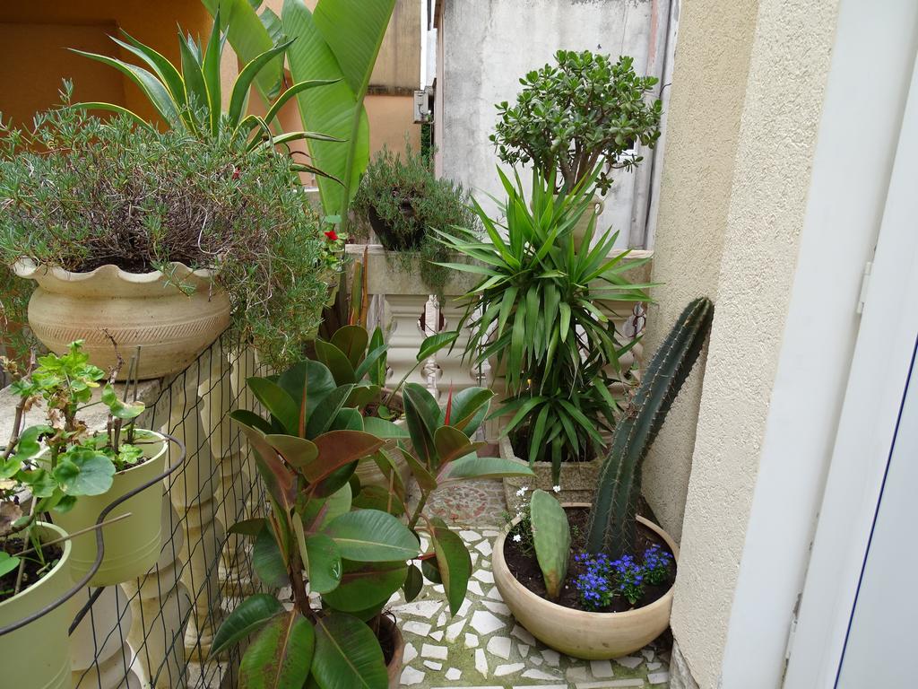 Apartament - Lisa Budva Exterior photo