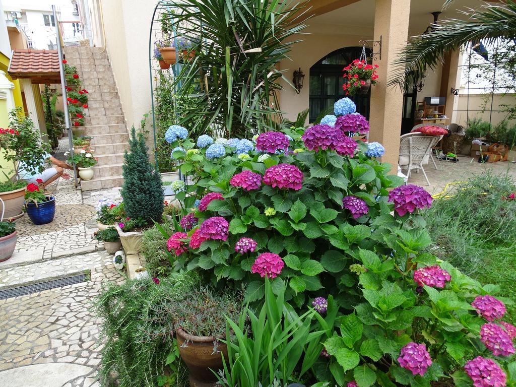 Apartament - Lisa Budva Exterior photo